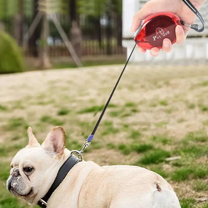 Retractable dog leash: gentle freedom at your fingertips