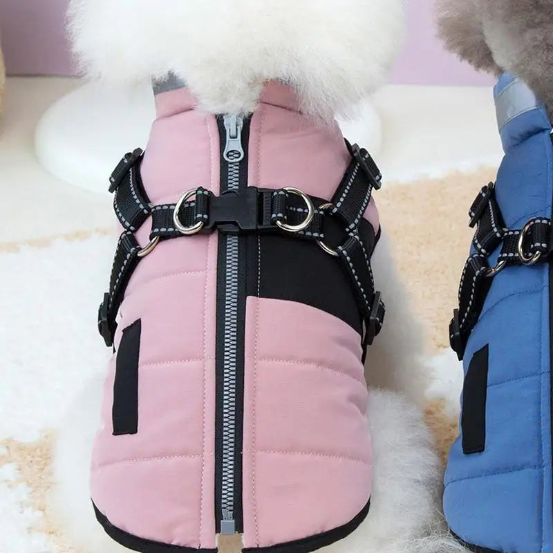 Stylish lined waterproof dog coat