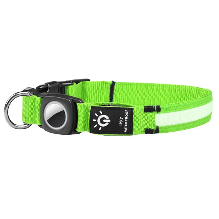 AirTag light-up dog collar: visible, locatable, reassuring day and night