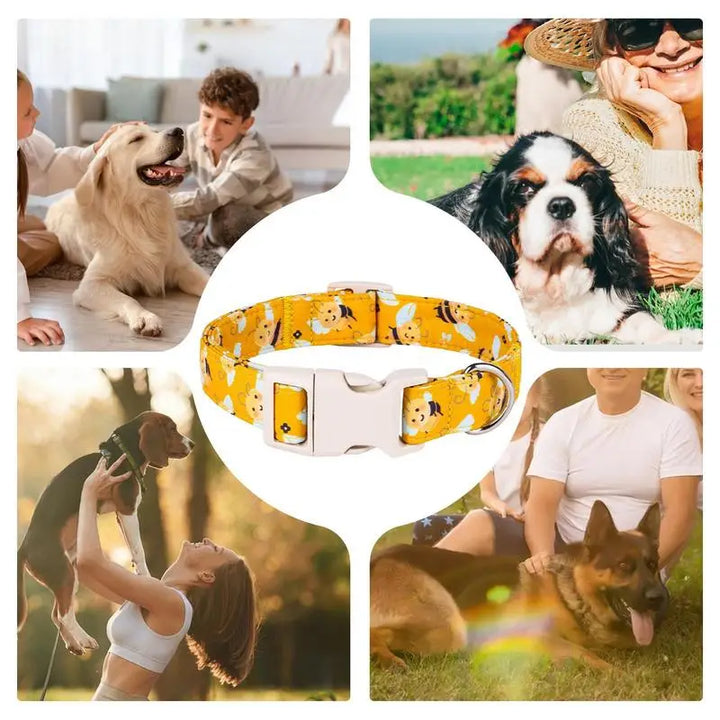 Yellow cotton dog collar – Fun, comfortable and tender on the neck