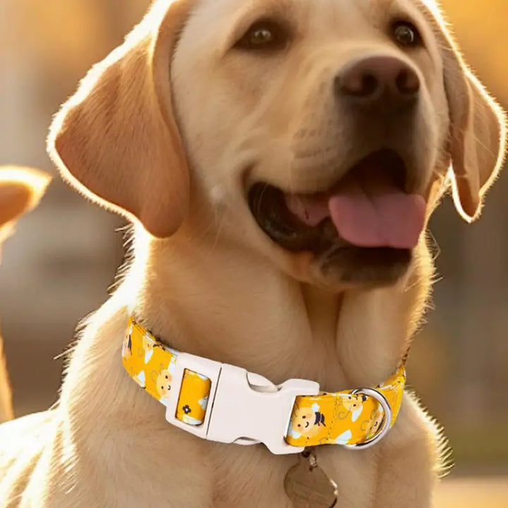 Yellow cotton dog collar – Fun, comfortable and tender on the neck