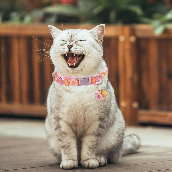 Cute Kitten Necklace – For Little Four-Legged Hearts