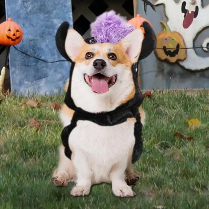 Halloween costume for dogs and cats: magical, funny and endearing