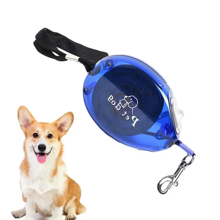 Retractable dog leash: gentle freedom at your fingertips