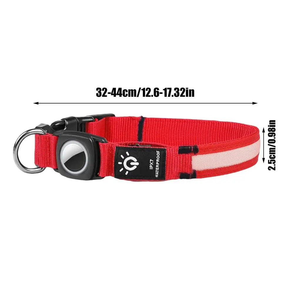 AirTag light-up dog collar: visible, locatable, reassuring day and night