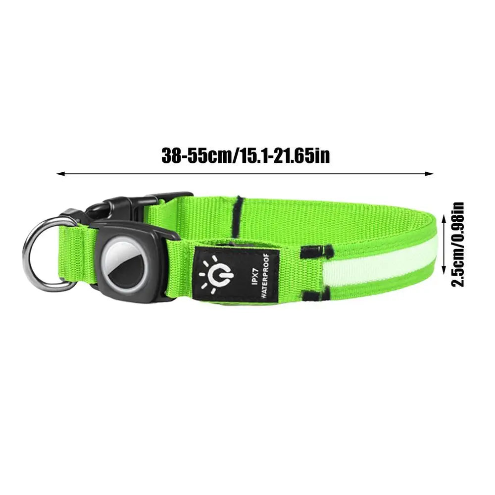 AirTag light-up dog collar: visible, locatable, reassuring day and night