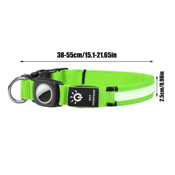AirTag light-up dog collar: visible, locatable, reassuring day and night