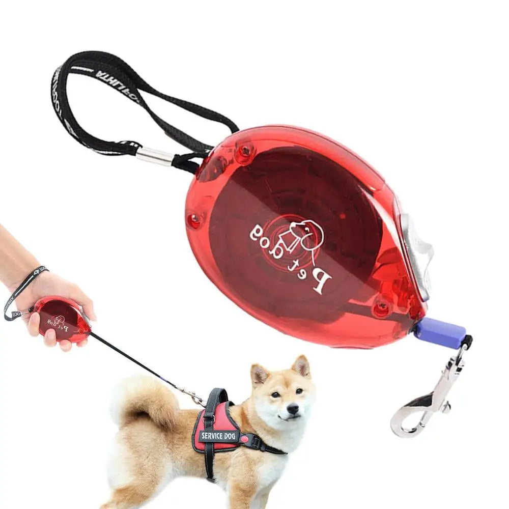 Retractable dog leash: gentle freedom at your fingertips
