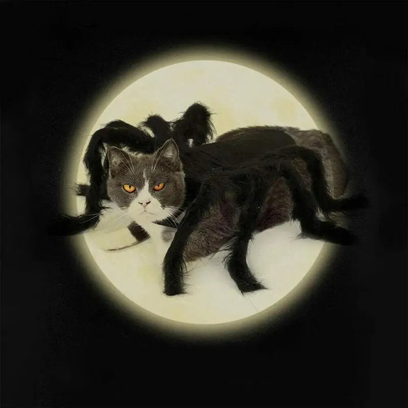 Spider Halloween Costume – For Cat, Puppy or Small Dog