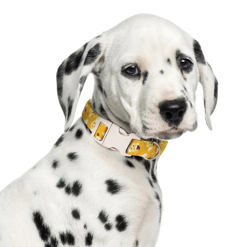 Yellow cotton dog collar – Fun, comfortable and tender on the neck